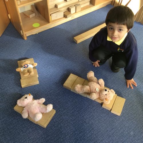 Aut 1  Bears